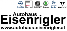 eisenriegler_Logo